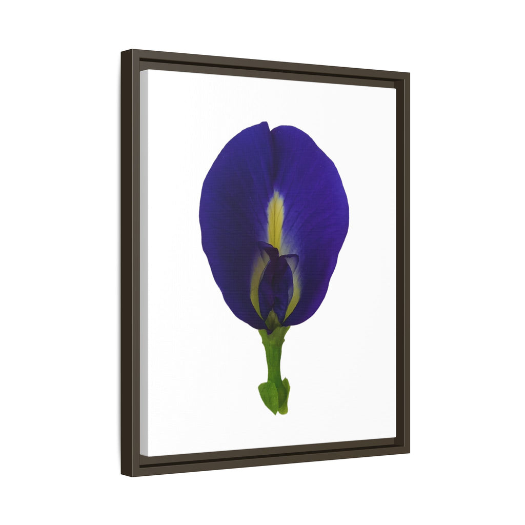 Original Butterfly Pea Flower Framed Canvas Wall Art