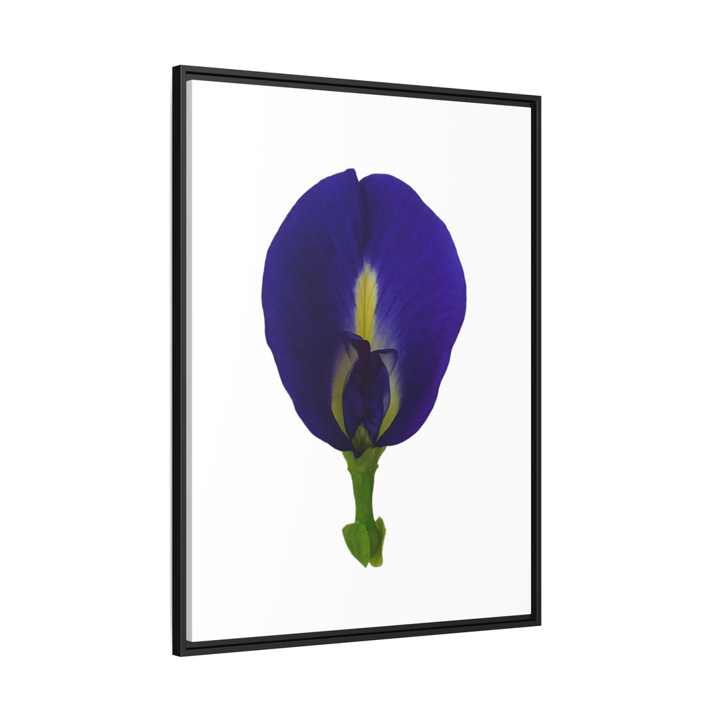 Original Butterfly Pea Flower Framed Canvas Wall Art
