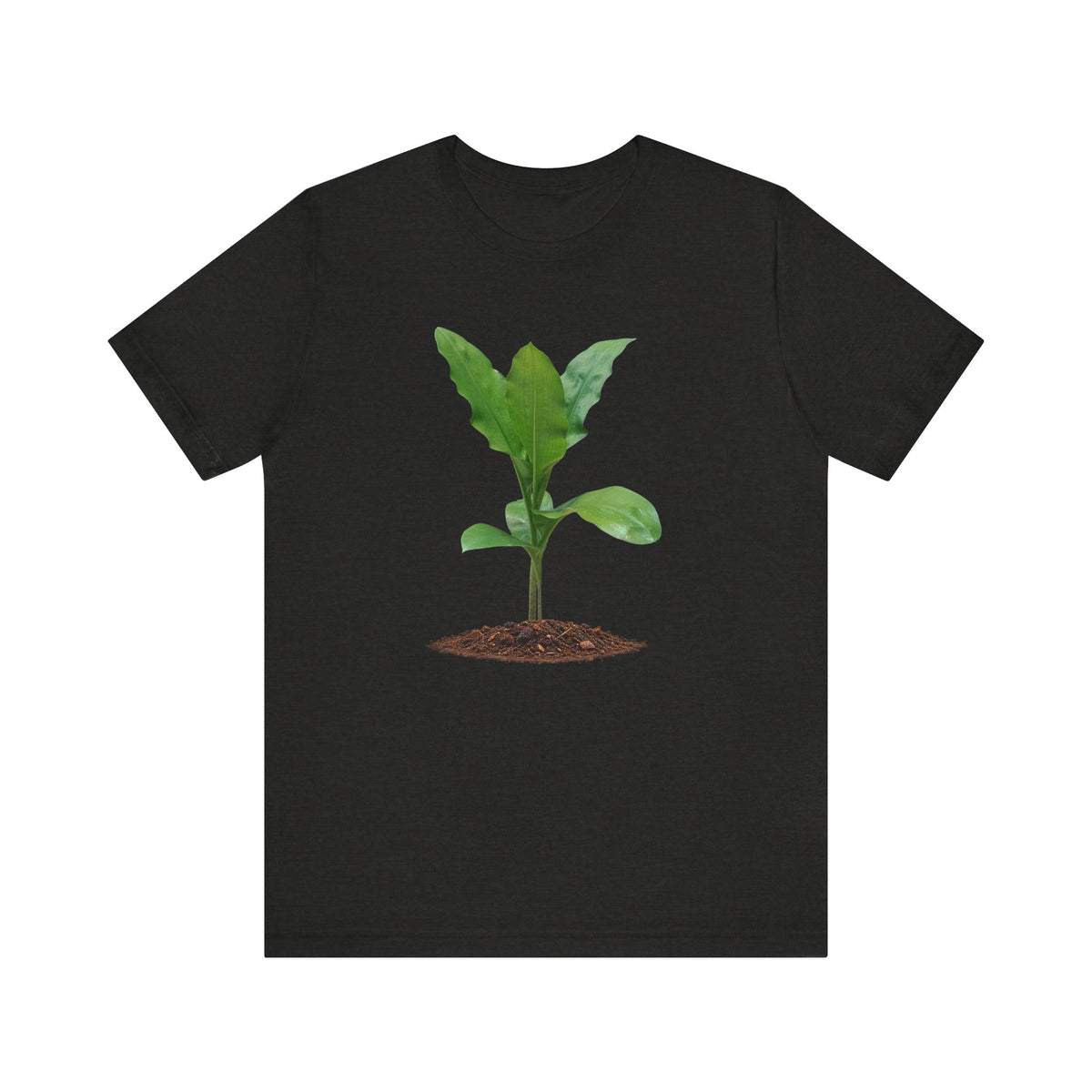 Blood Lily Botanical T-Shirt — Original Photography