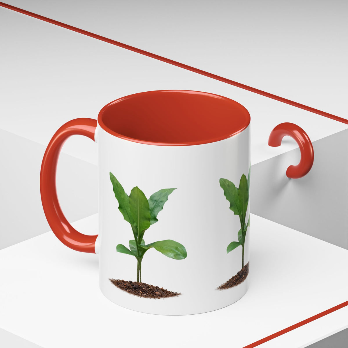 Blood Lily Ceramic Coffee Mug – Original Botanical Photography