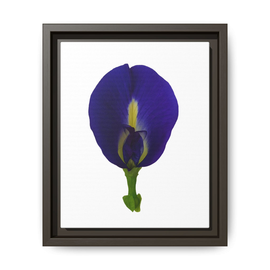 Original Butterfly Pea Flower Framed Canvas Wall Art