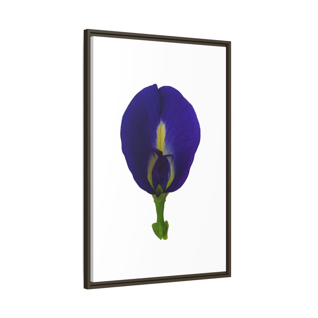 Original Butterfly Pea Flower Framed Canvas Wall Art