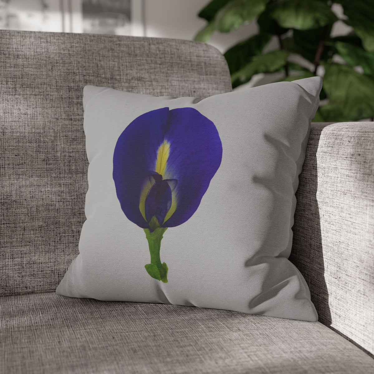 Original Butterfly Pea Flower Pillow Cover | Botanical Photography