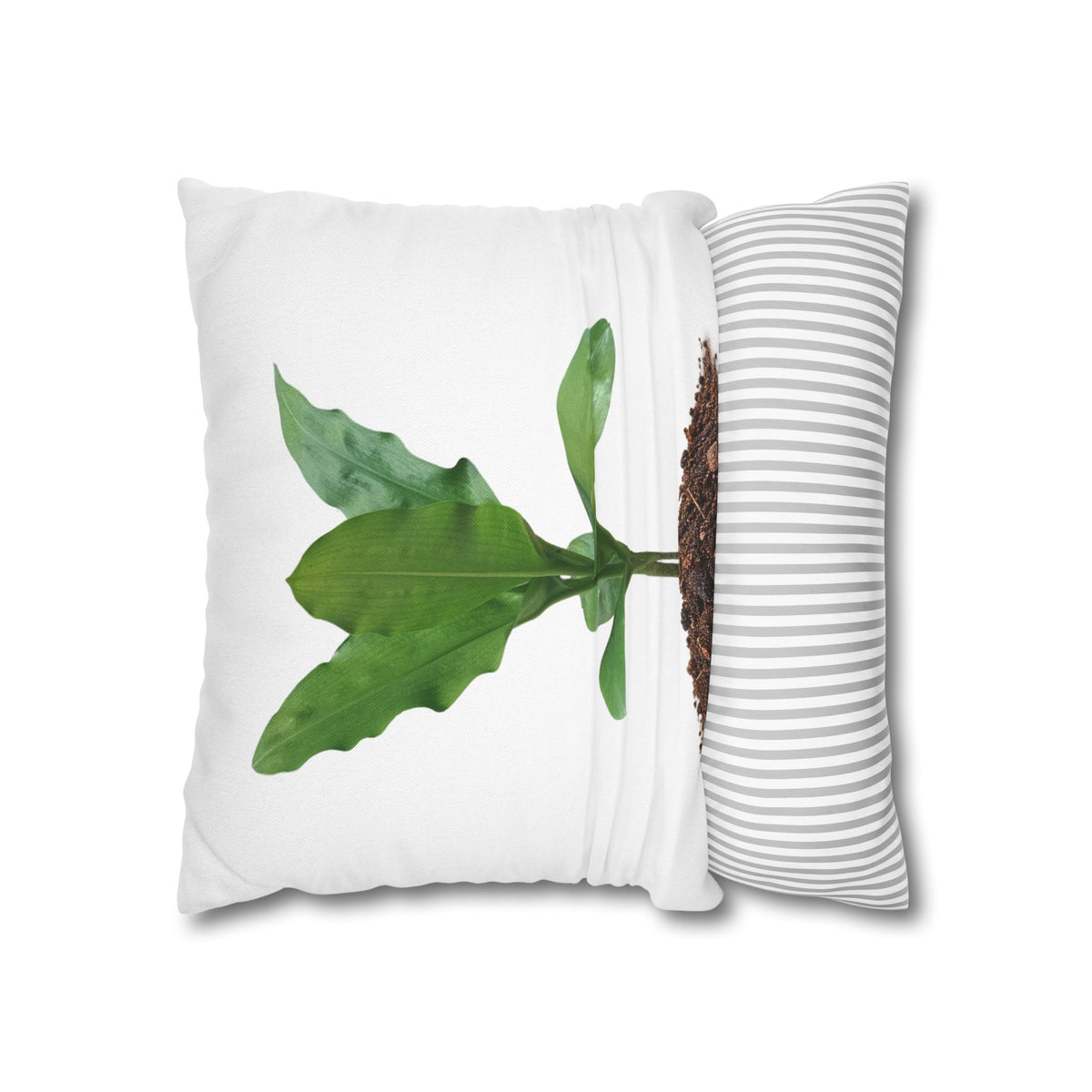 Blood Lily Botanical Pillow Cover — Original Photography