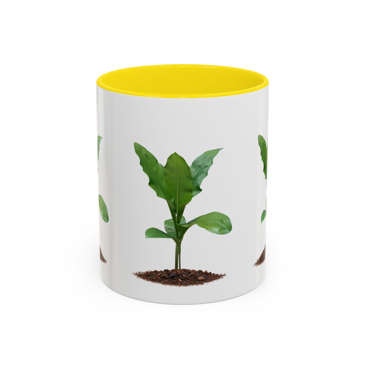 Blood Lily Ceramic Coffee Mug – Original Botanical Photography