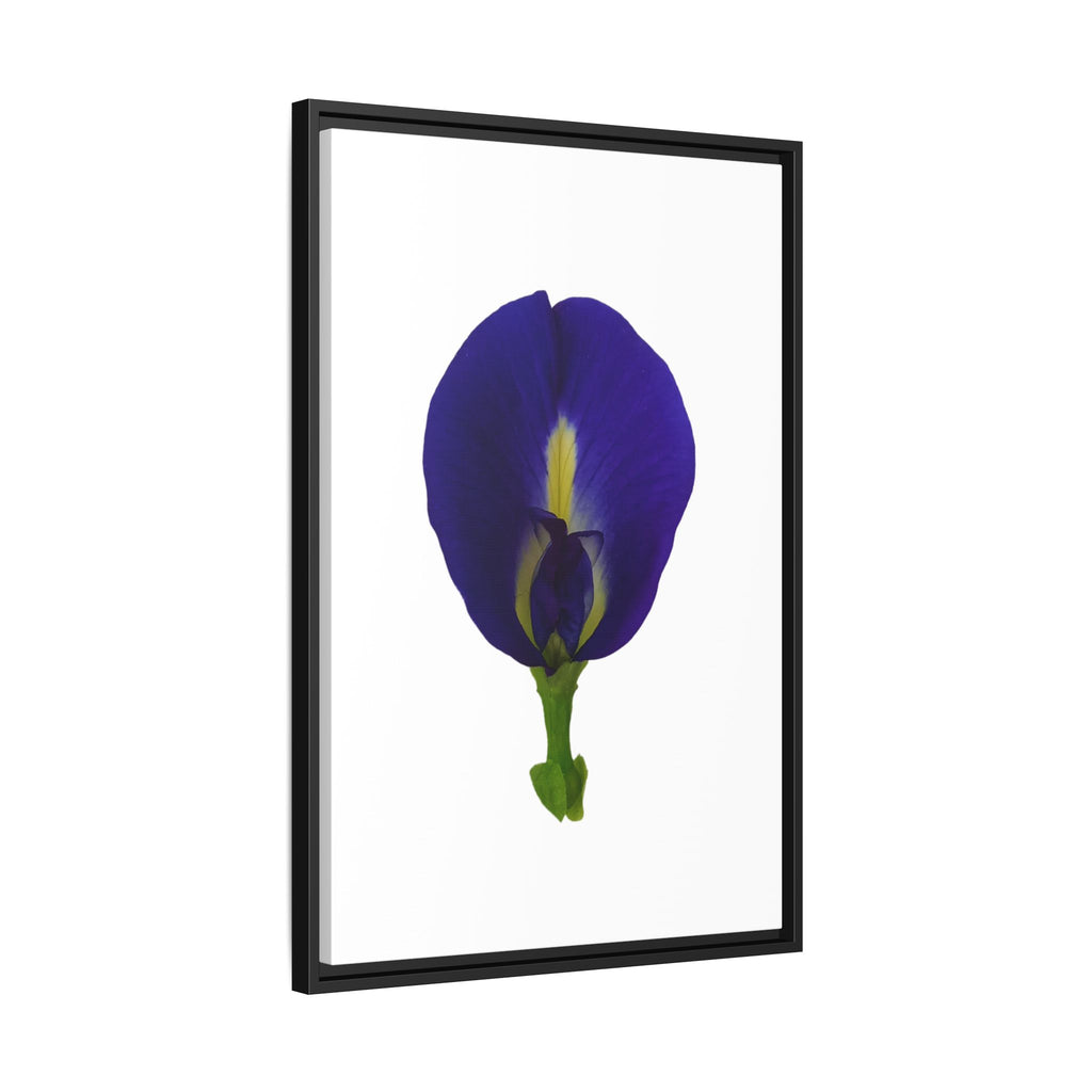Original Butterfly Pea Flower Framed Canvas Wall Art