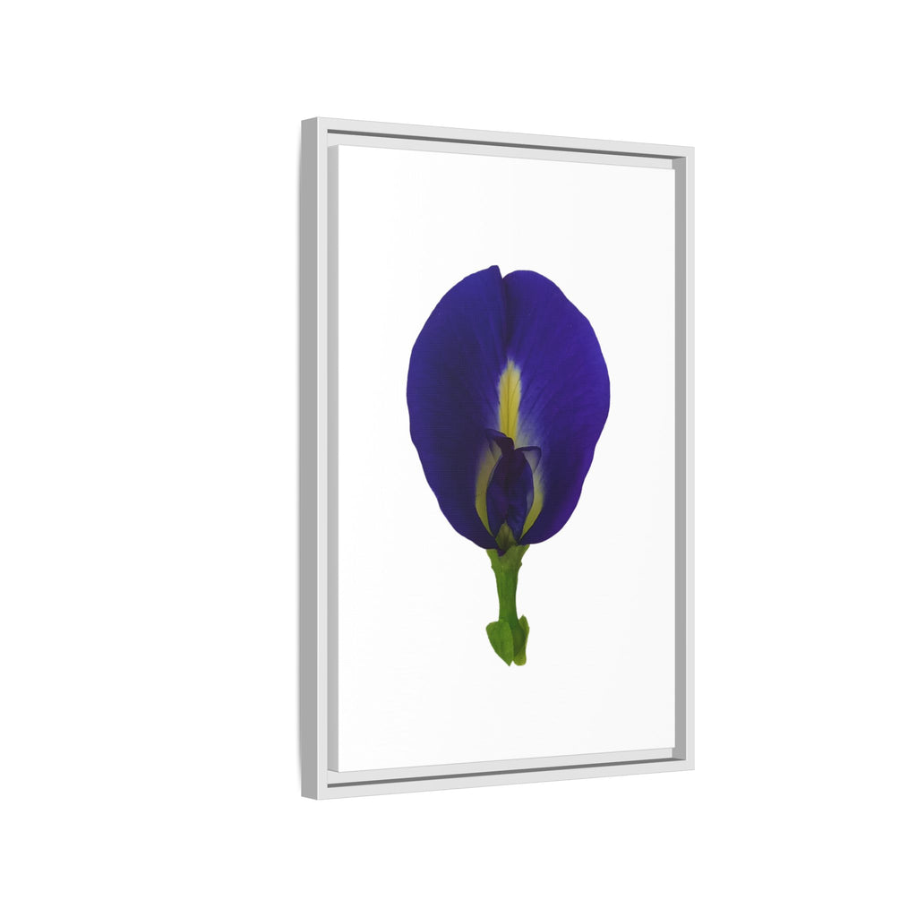 Original Butterfly Pea Flower Framed Canvas Wall Art