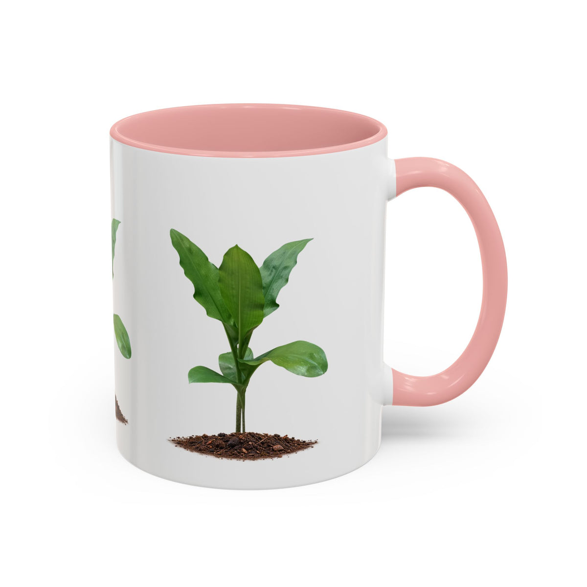 Blood Lily Ceramic Coffee Mug – Original Botanical Photography