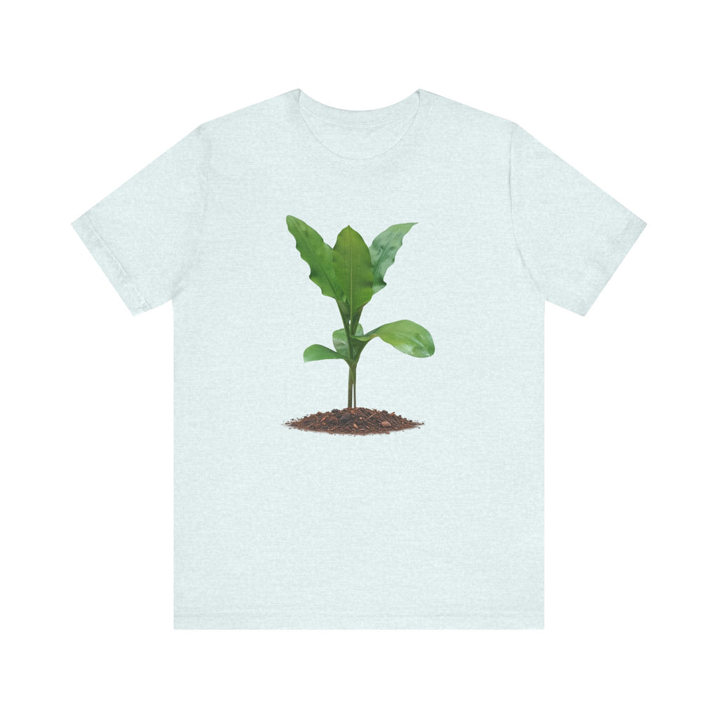 Blood Lily Botanical T-Shirt — Original Photography