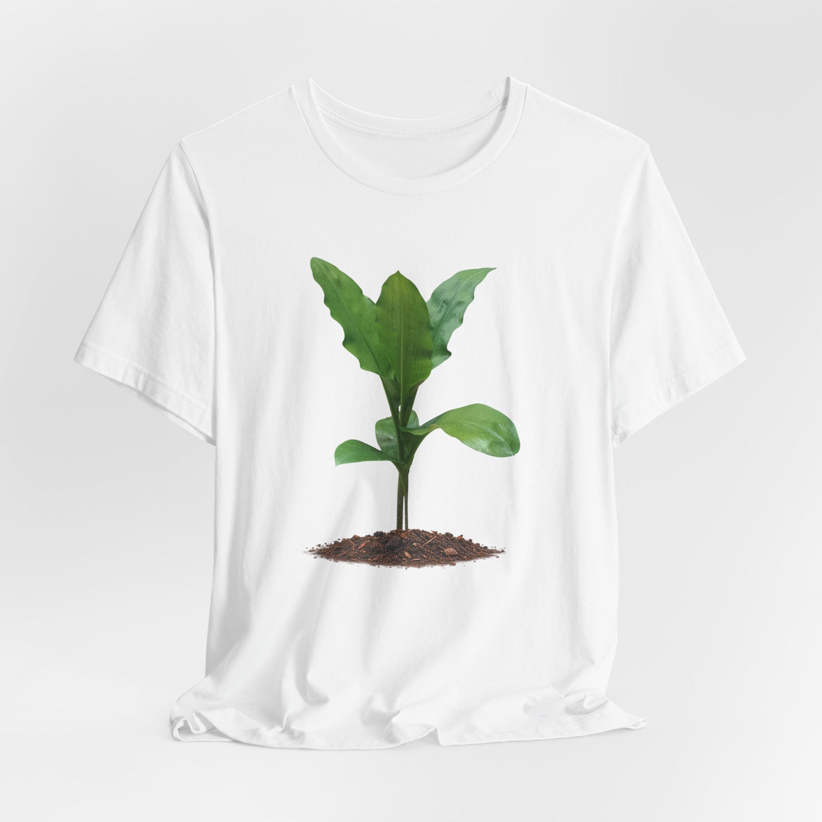 Blood Lily Botanical T-Shirt — Original Photography