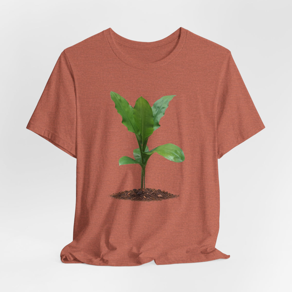 Blood Lily Botanical T-Shirt — Original Photography