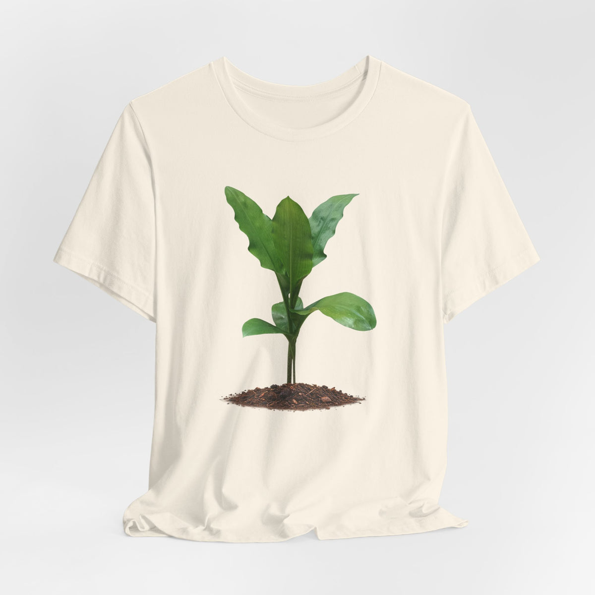 Blood Lily Botanical T-Shirt — Original Photography