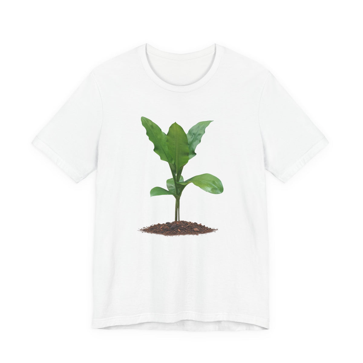 Blood Lily Botanical T-Shirt — Original Photography