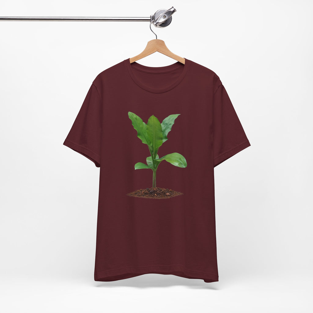 Blood Lily Botanical T-Shirt — Original Photography