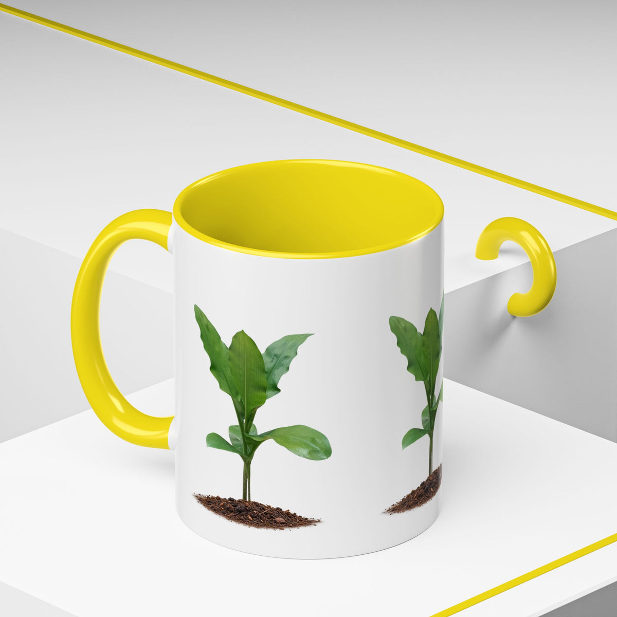 Blood Lily Ceramic Coffee Mug – Original Botanical Photography