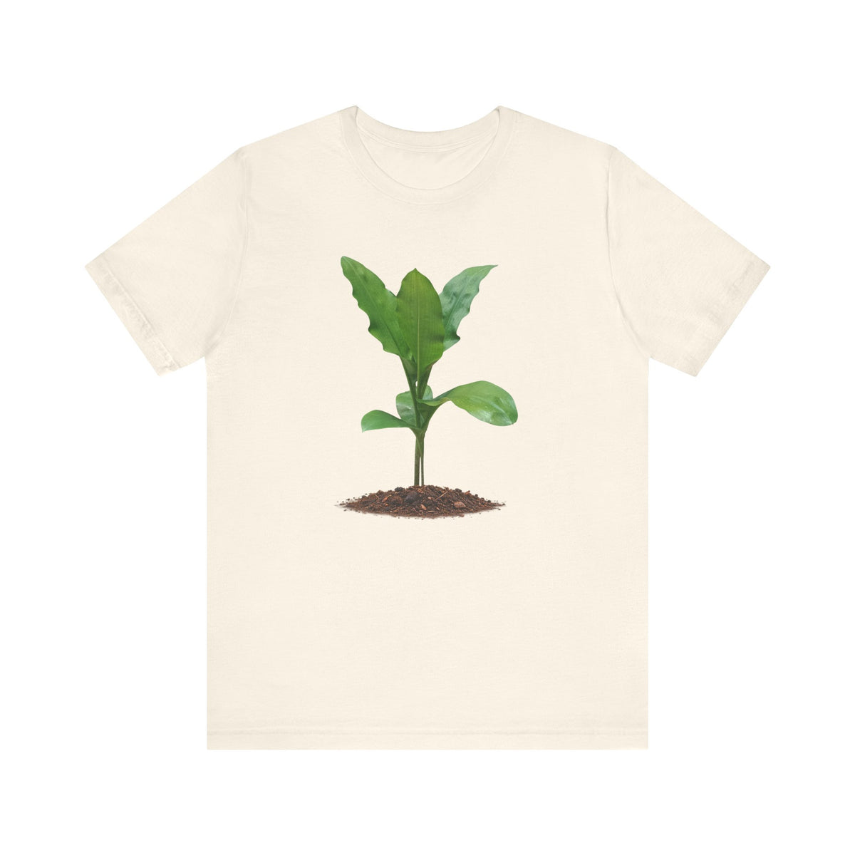 Blood Lily Botanical T-Shirt — Original Photography