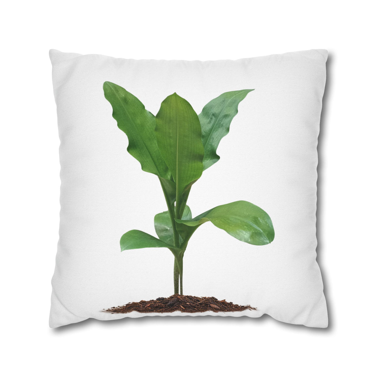 Blood Lily Botanical Pillow Cover — Original Photography