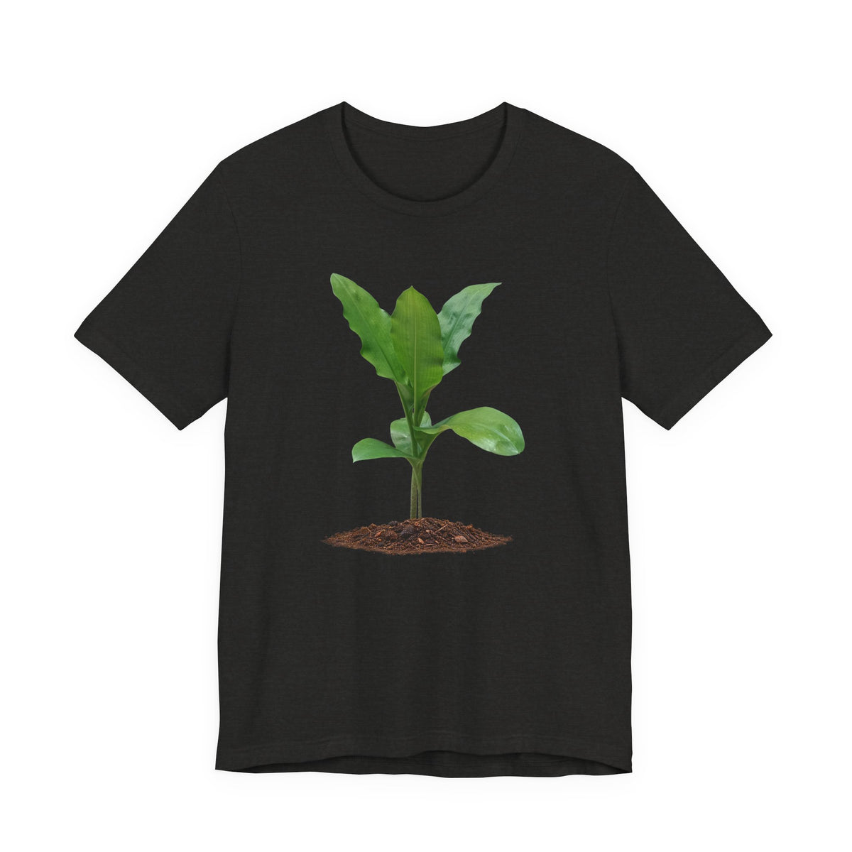 Blood Lily Botanical T-Shirt — Original Photography