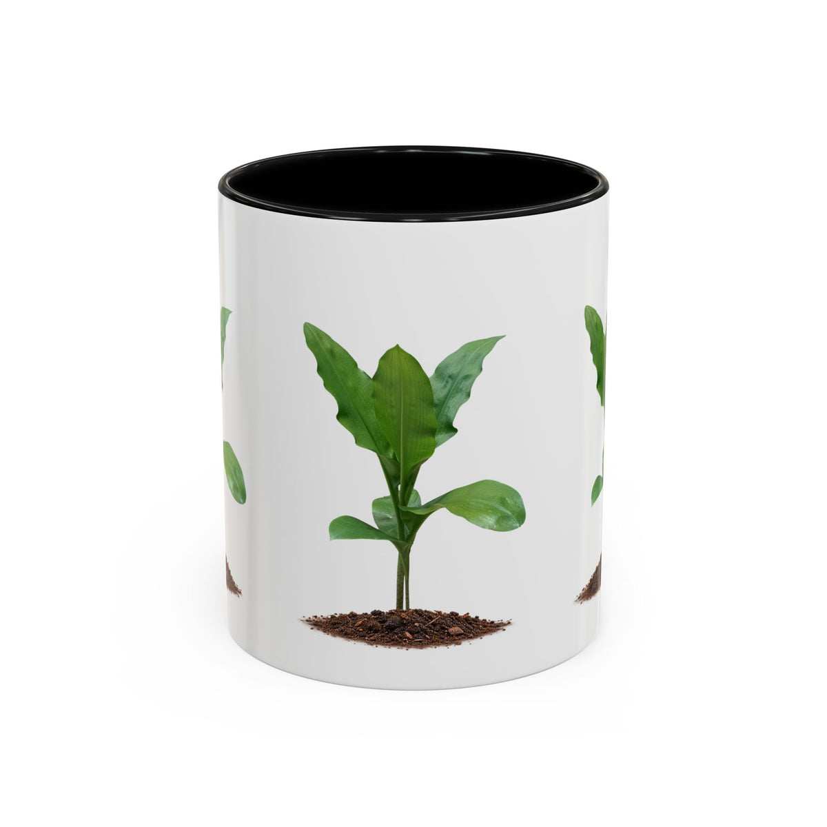 Blood Lily Ceramic Coffee Mug – Original Botanical Photography