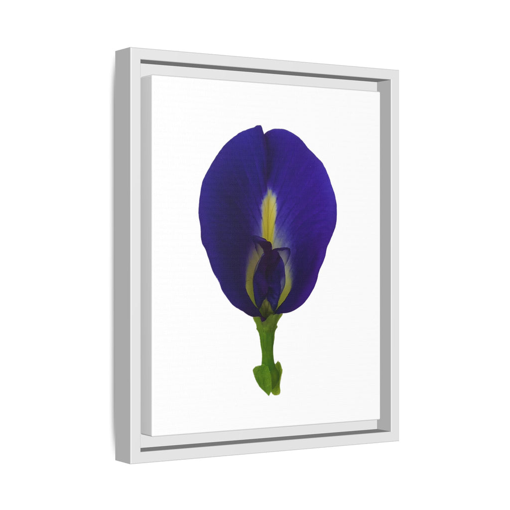 Original Butterfly Pea Flower Framed Canvas Wall Art