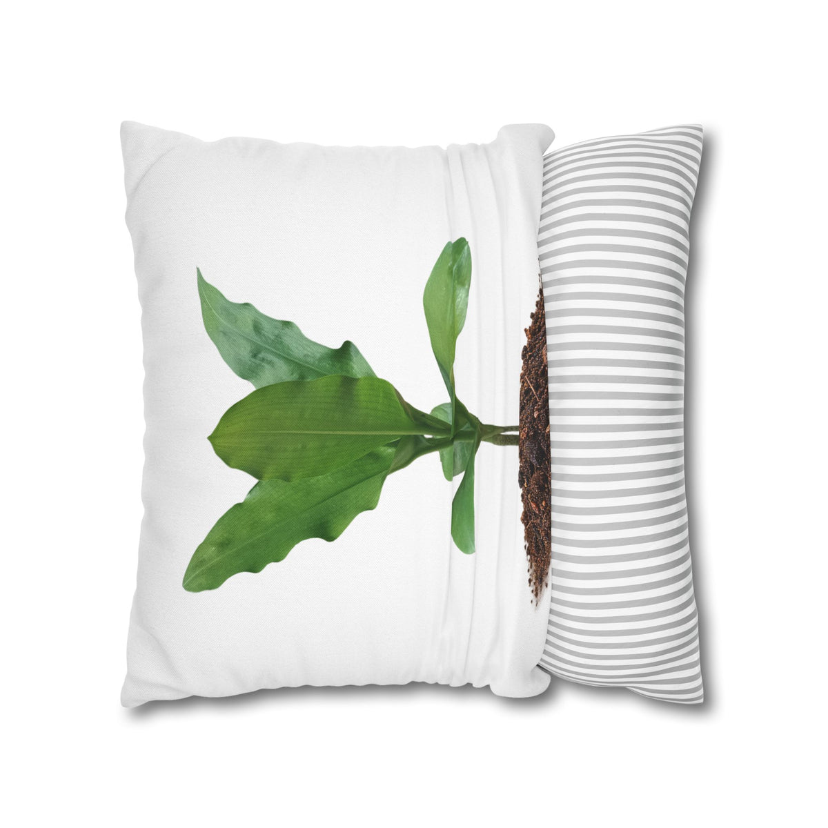 Blood Lily Botanical Pillow Cover — Original Photography