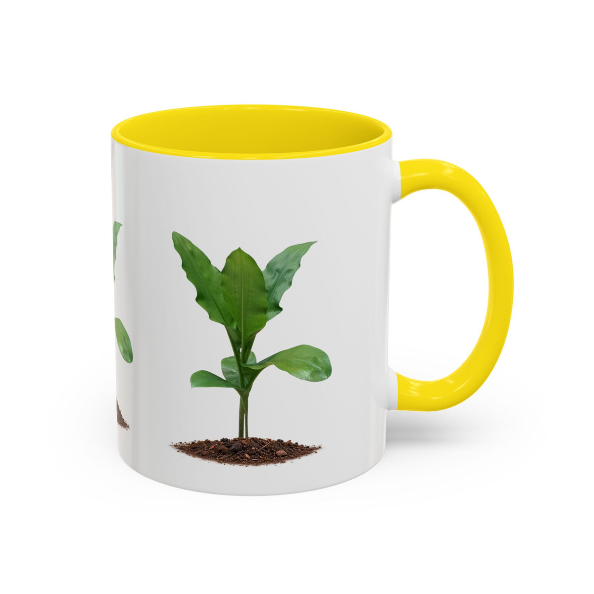 Blood Lily Ceramic Coffee Mug – Original Botanical Photography