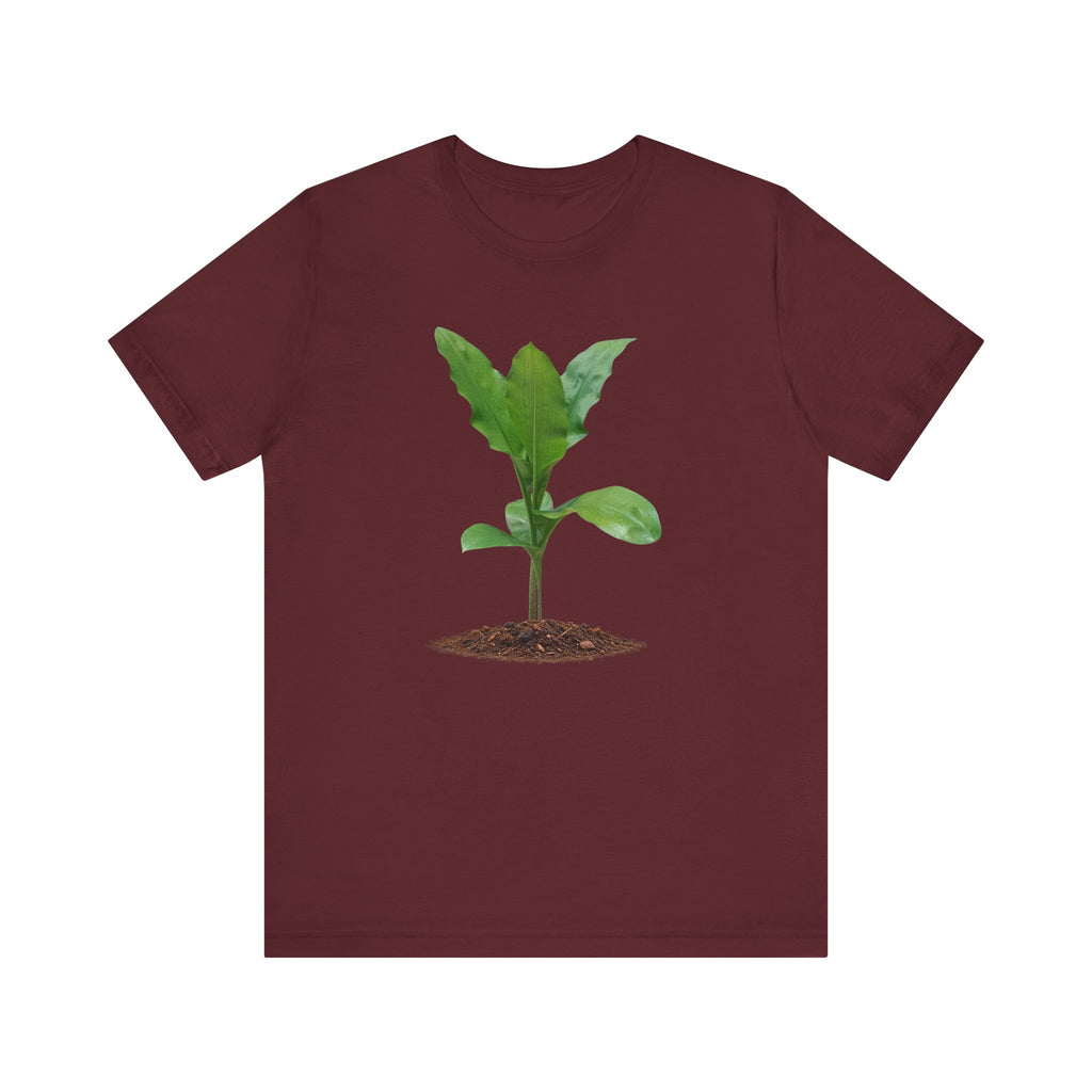 Blood Lily Botanical T-Shirt — Original Photography