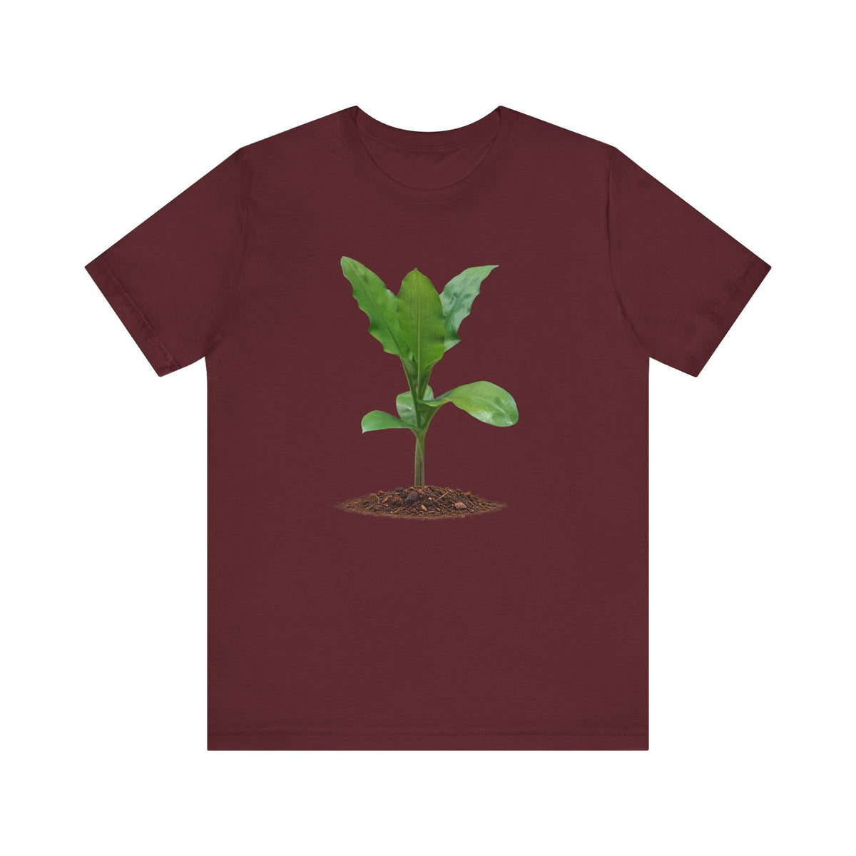 Blood Lily Botanical T-Shirt — Original Photography