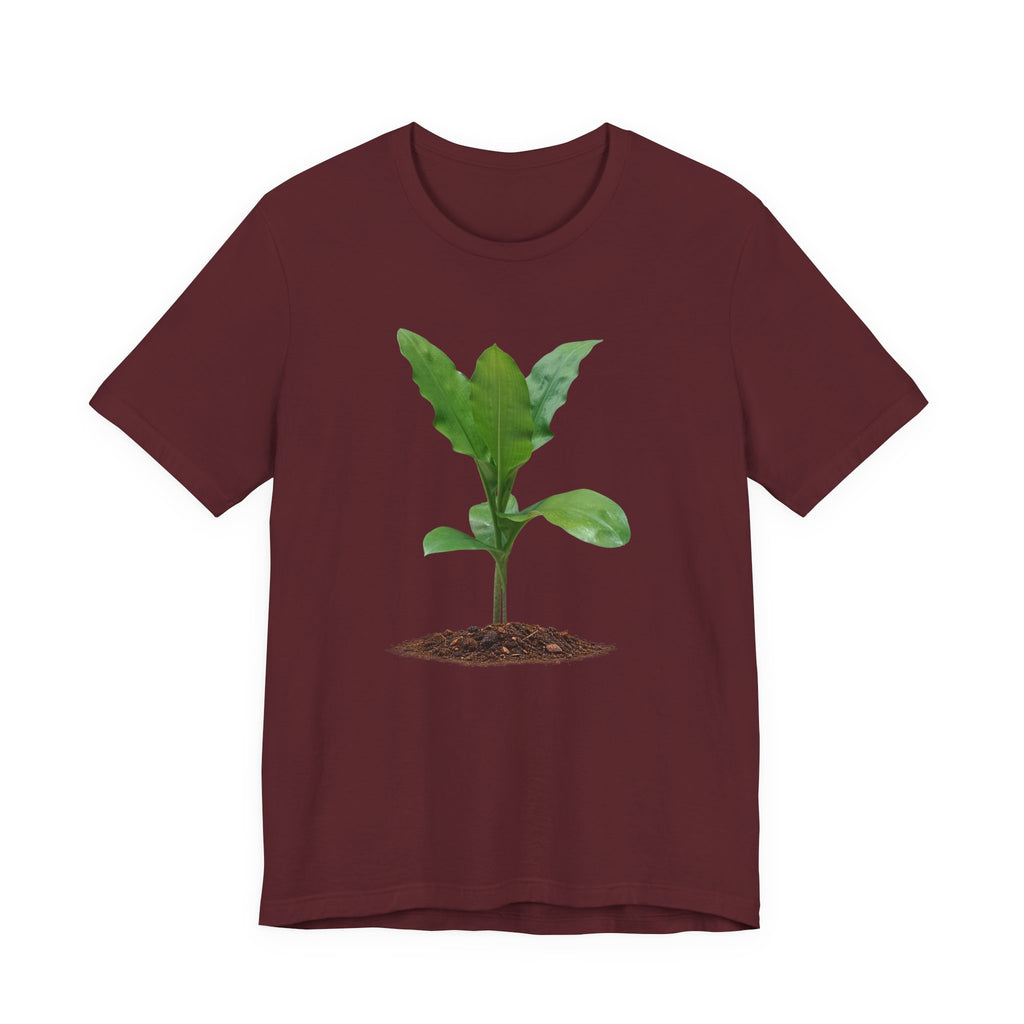 Blood Lily Botanical T-Shirt — Original Photography