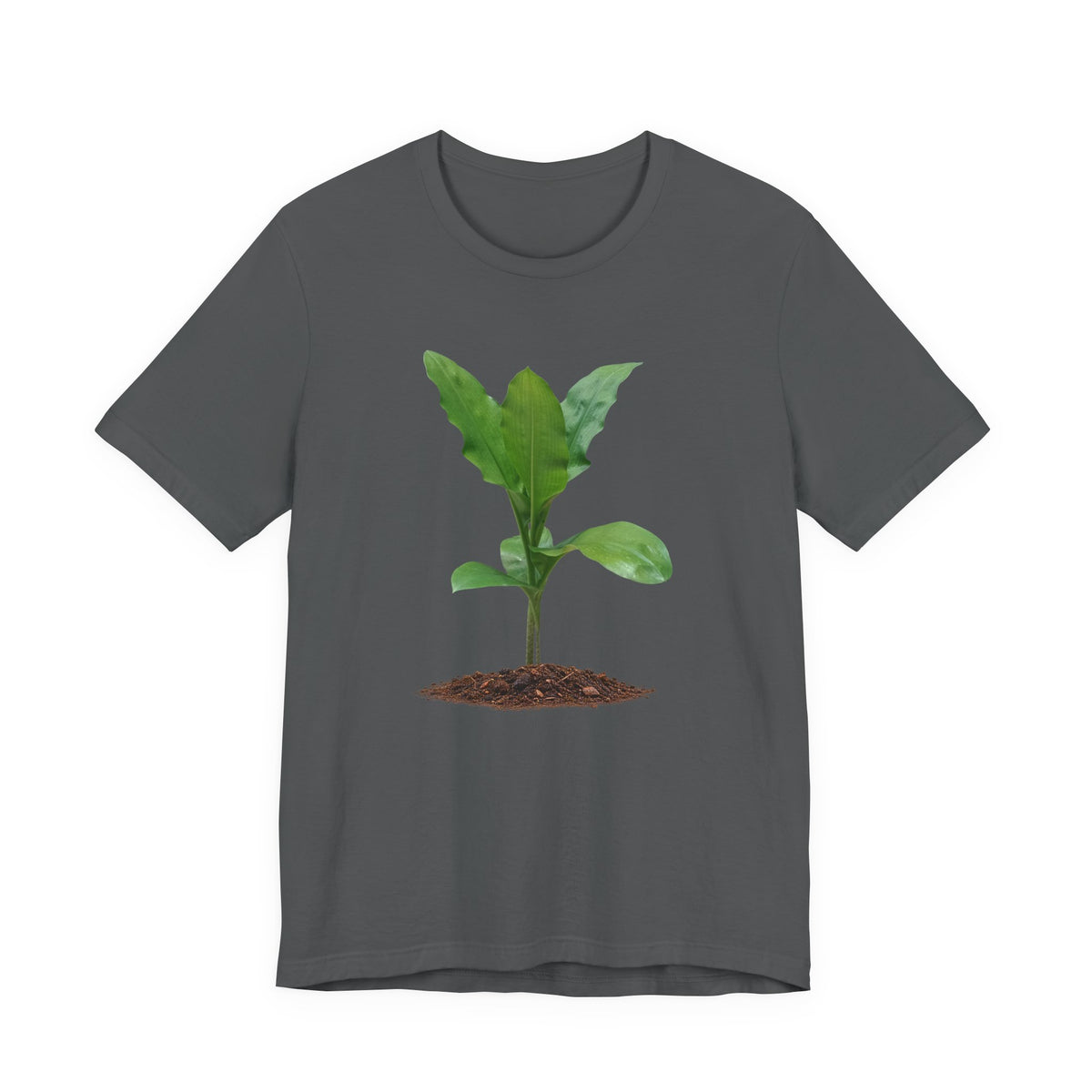 Blood Lily Botanical T-Shirt — Original Photography