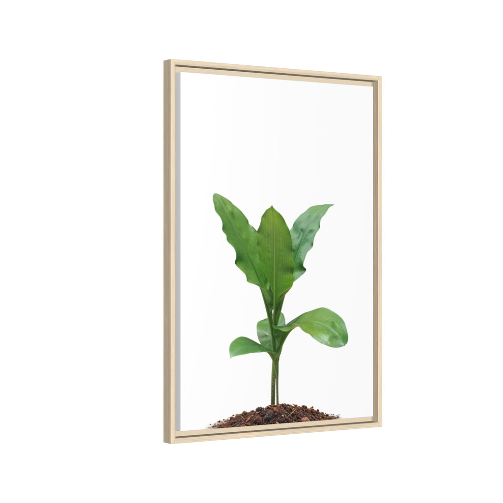 Blood Lily Plant Paintbrush Lily Plant Framed Canvas Wall Art