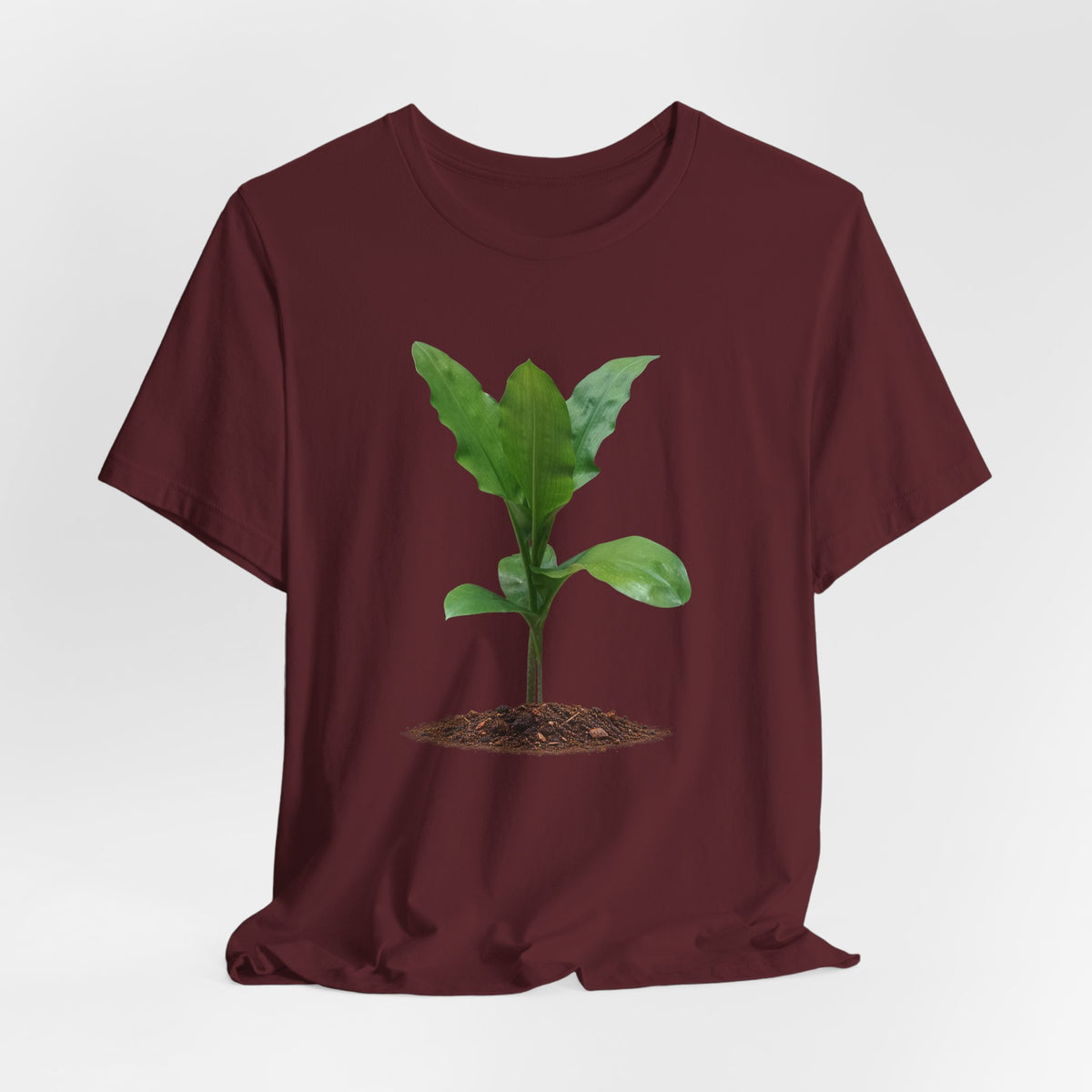 Blood Lily Botanical T-Shirt — Original Photography