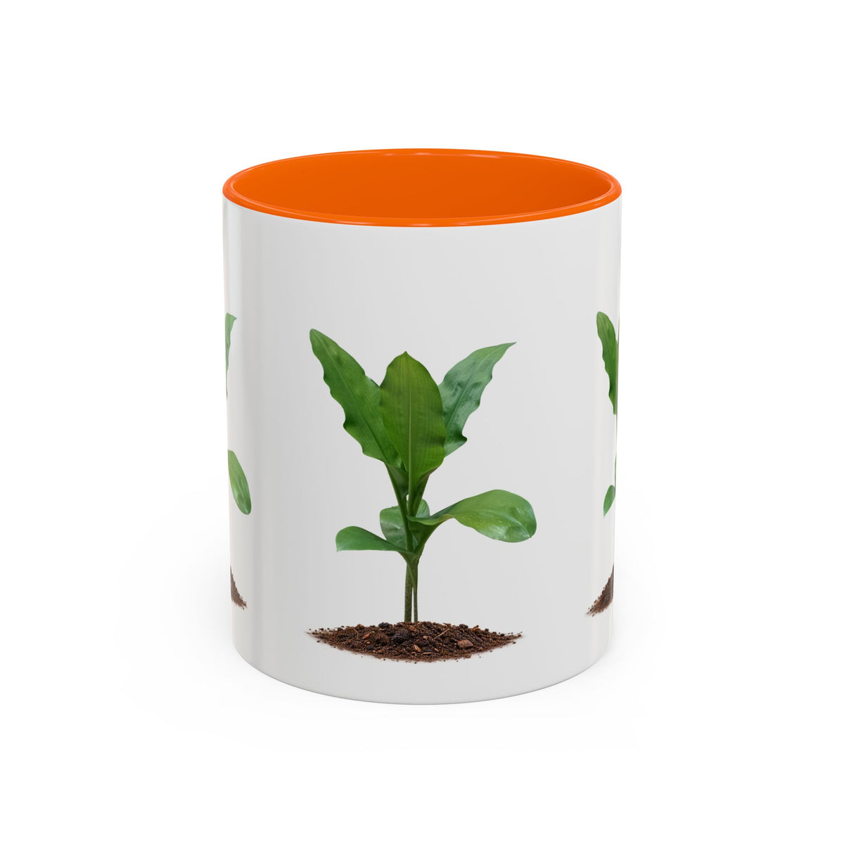 Blood Lily Ceramic Coffee Mug – Original Botanical Photography