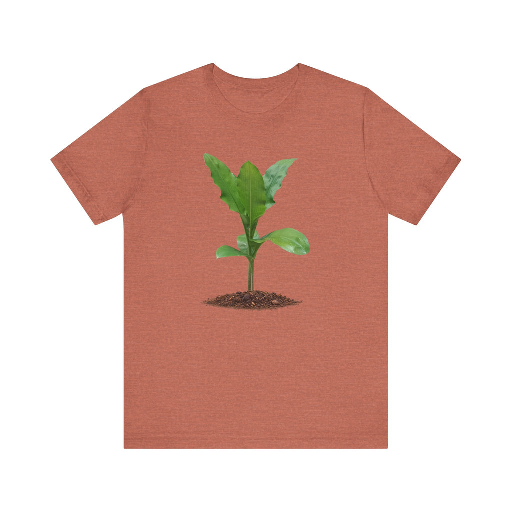 Blood Lily Botanical T-Shirt — Original Photography