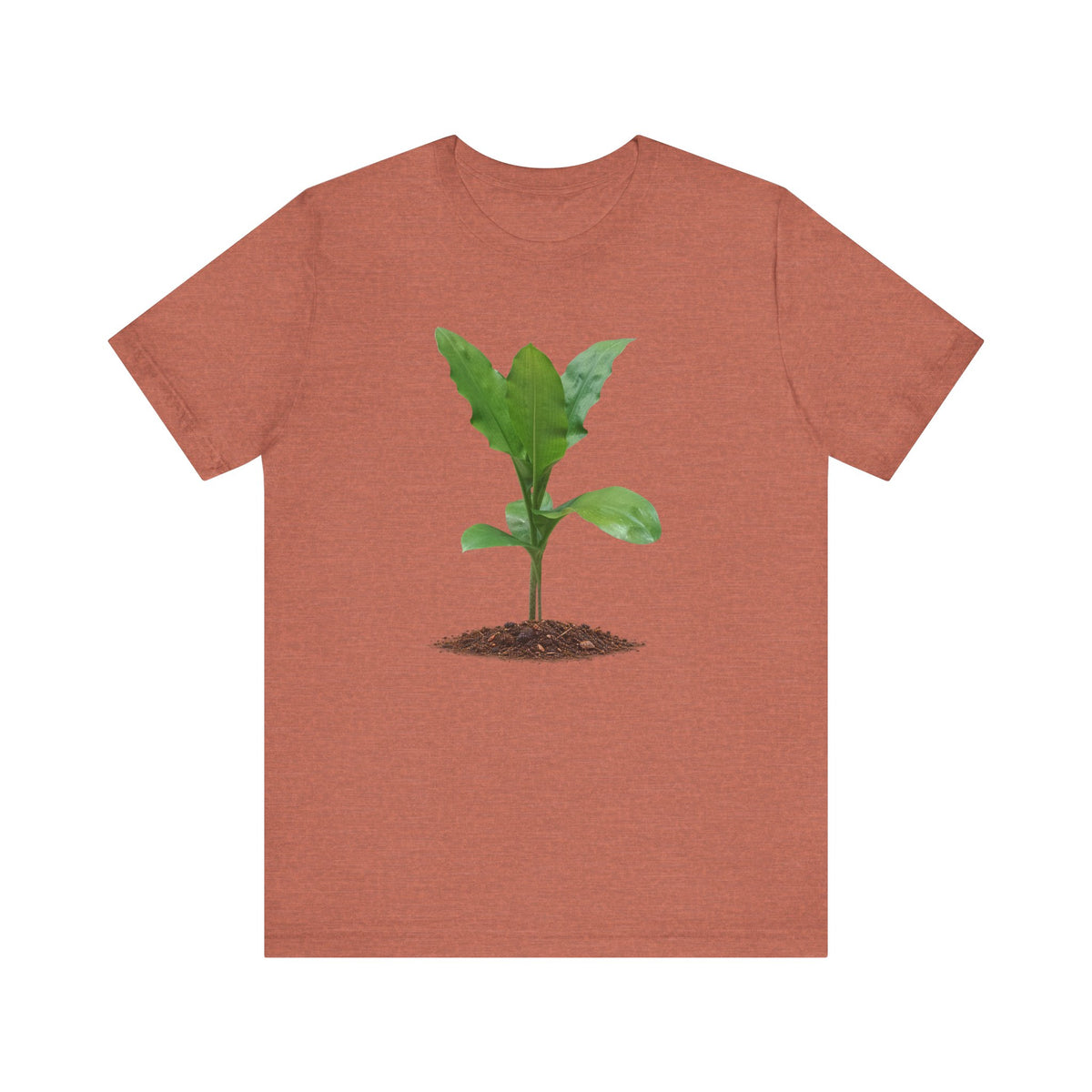 Blood Lily Botanical T-Shirt — Original Photography