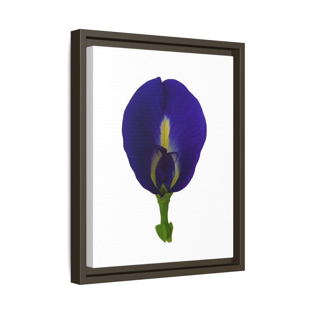 Original Butterfly Pea Flower Framed Canvas Wall Art