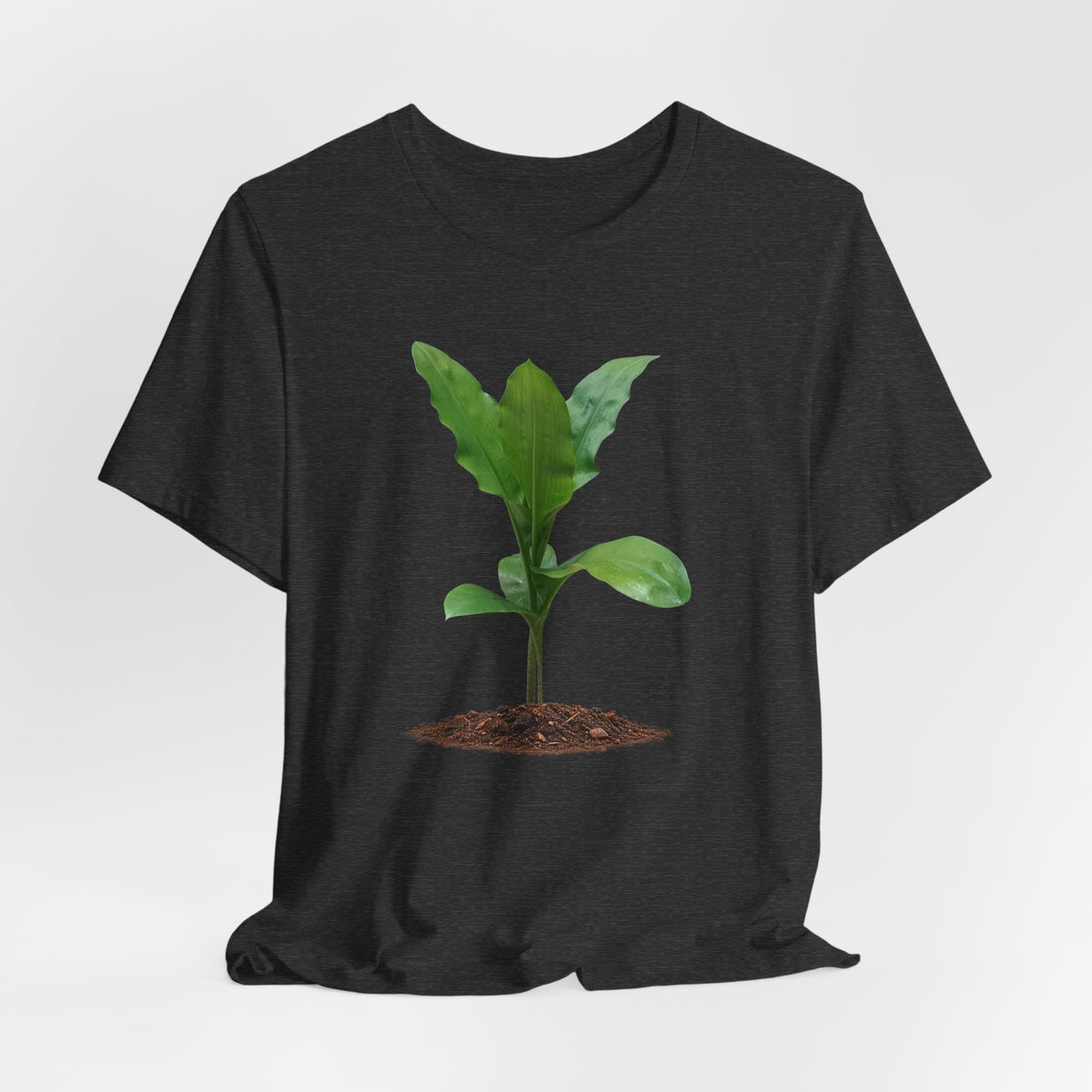 Blood Lily Botanical T-Shirt — Original Photography