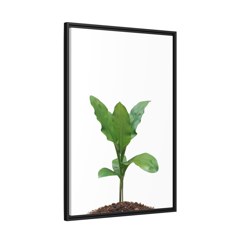 Blood Lily Plant Paintbrush Lily Plant Framed Canvas Wall Art