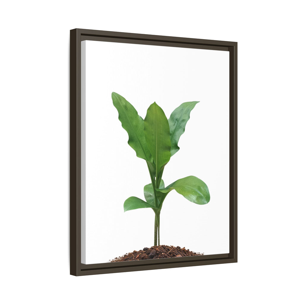 Blood Lily Plant Paintbrush Lily Plant Framed Canvas Wall Art