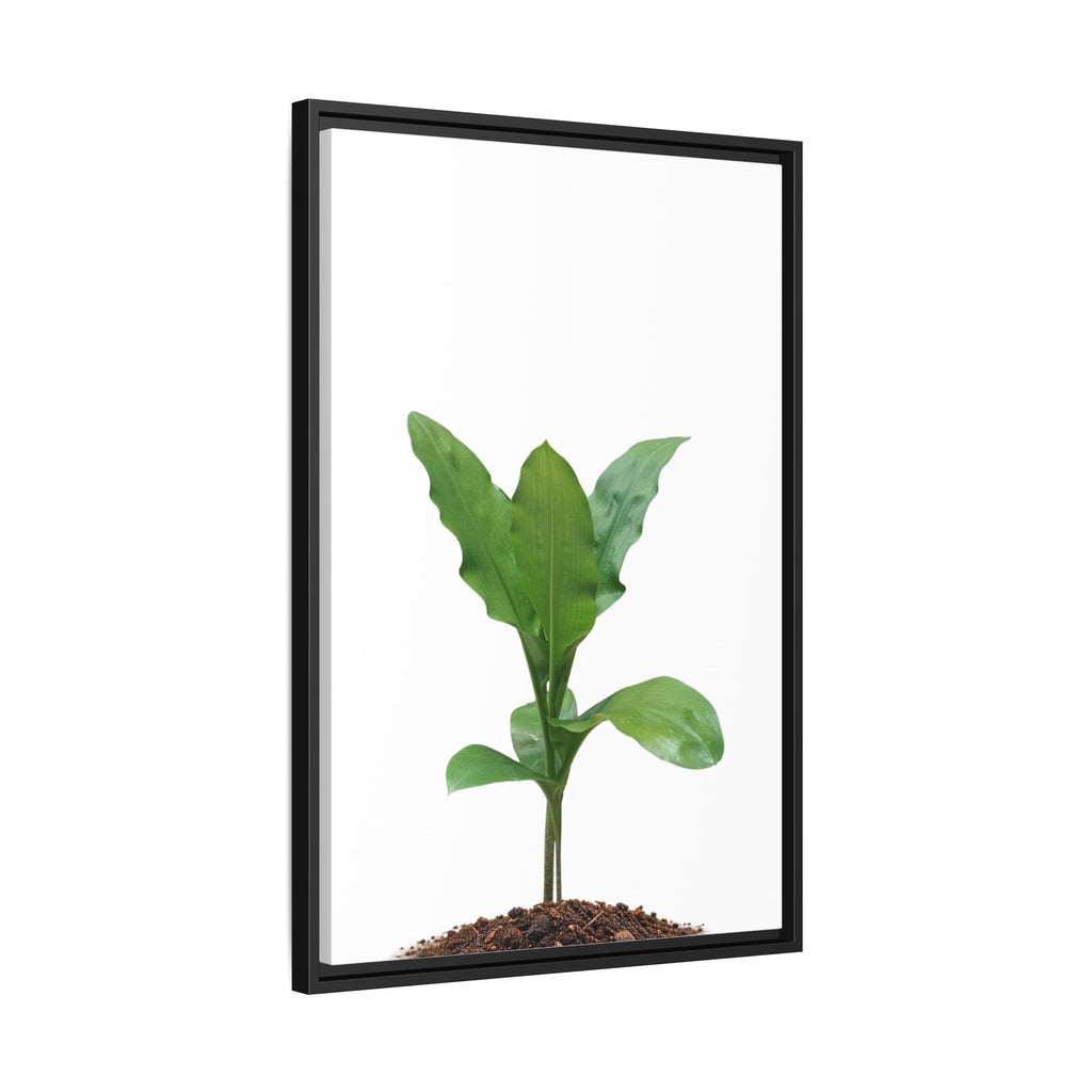 Blood Lily Plant Paintbrush Lily Plant Framed Canvas Wall Art