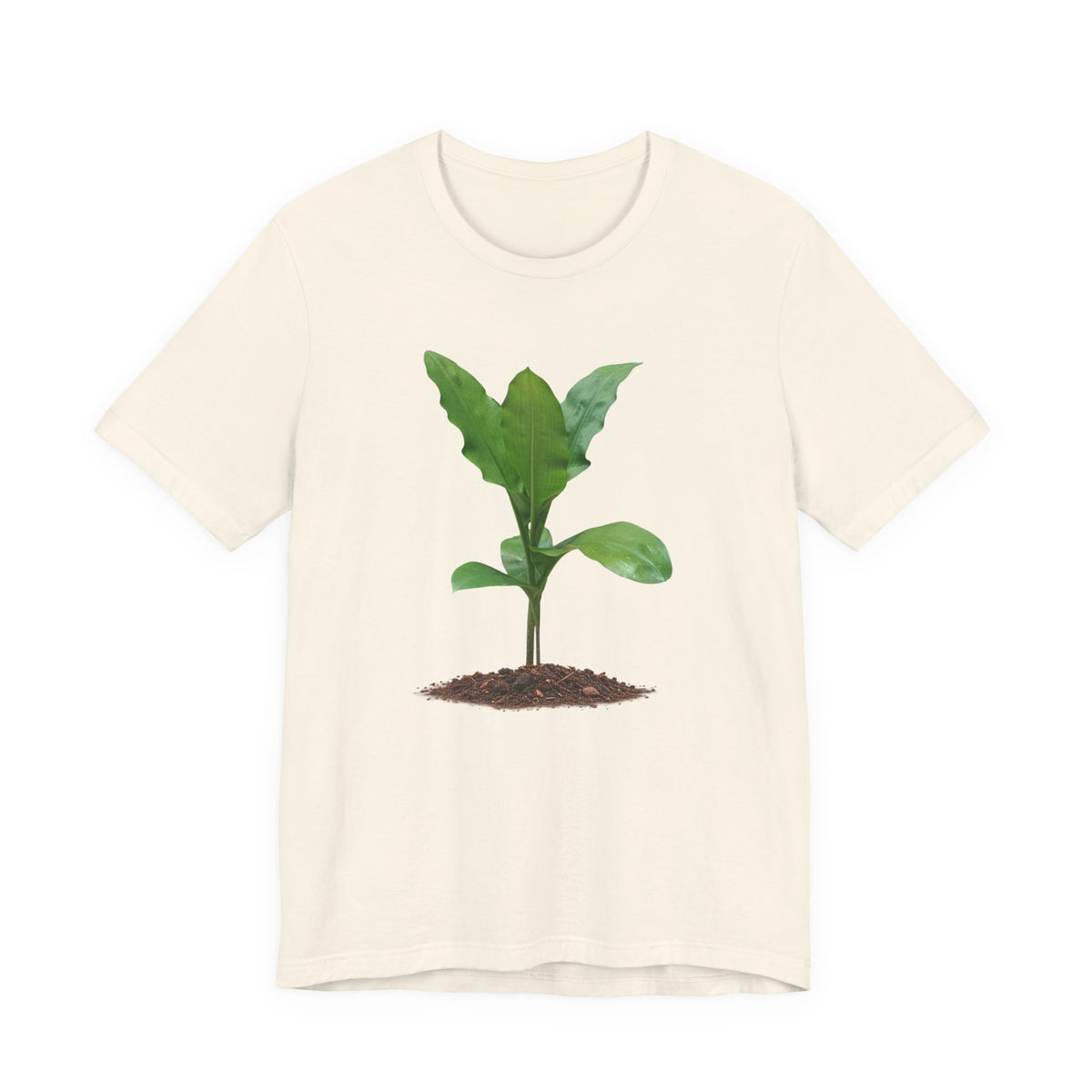 Blood Lily Botanical T-Shirt — Original Photography