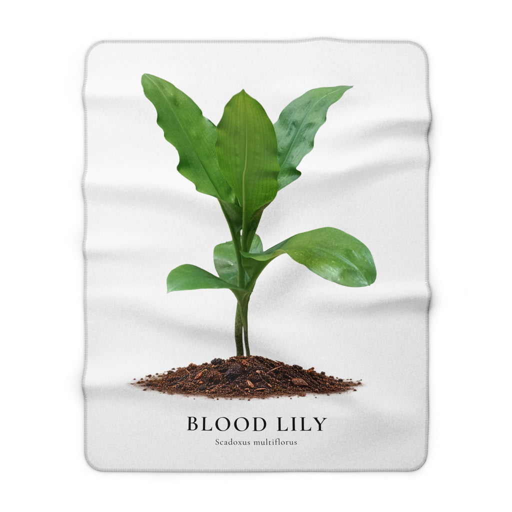 Blood Lily Plant Sherpa Fleece Blanket – Original Botanical Photography