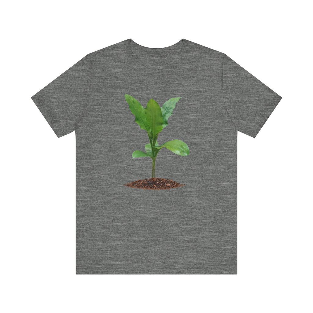 Blood Lily Botanical T-Shirt — Original Photography