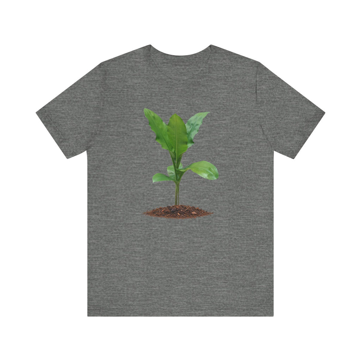 Blood Lily Botanical T-Shirt — Original Photography