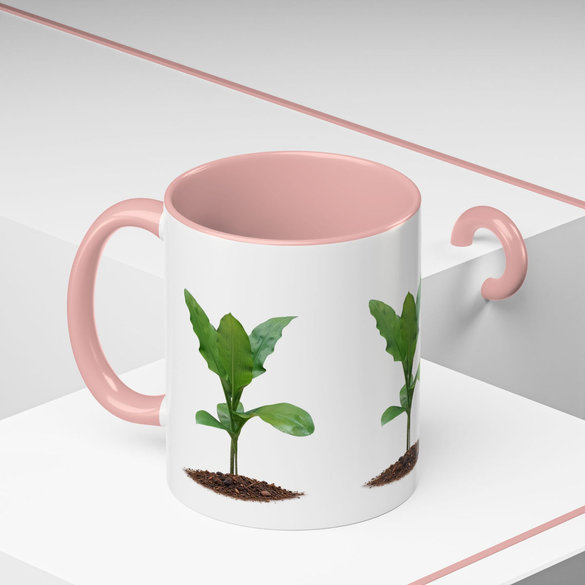 Blood Lily Ceramic Coffee Mug – Original Botanical Photography