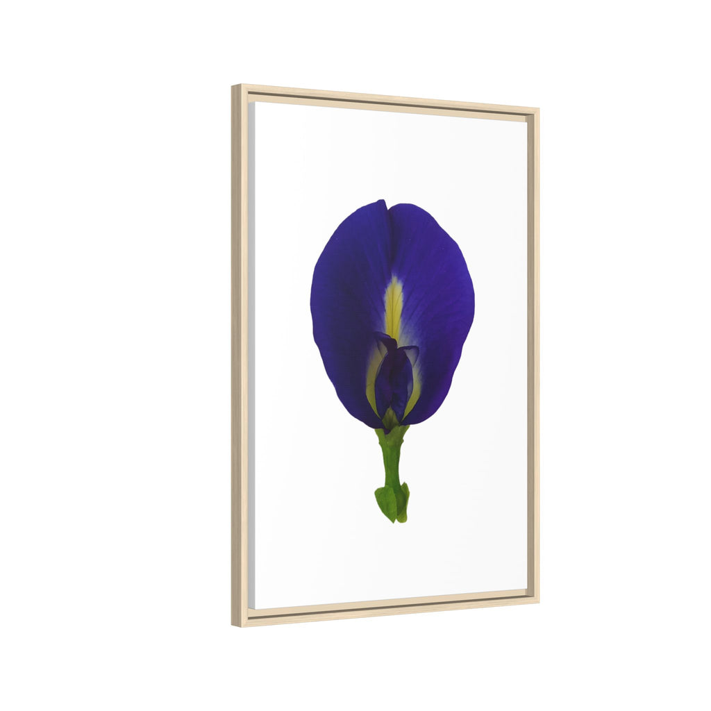 Original Butterfly Pea Flower Framed Canvas Wall Art