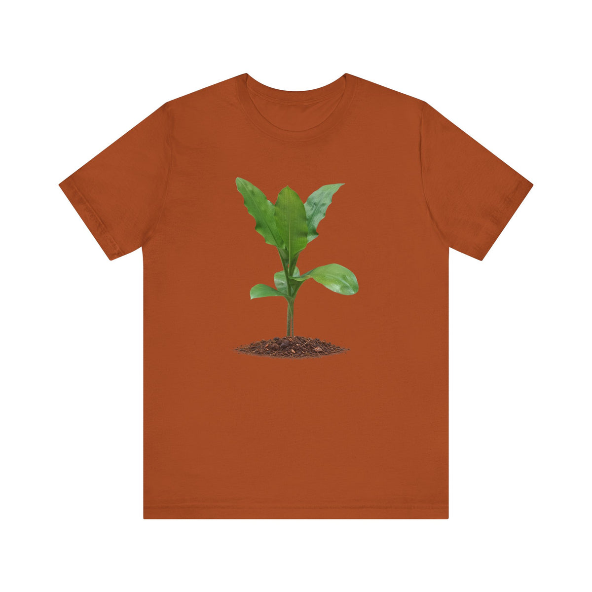 Blood Lily Botanical T-Shirt — Original Photography