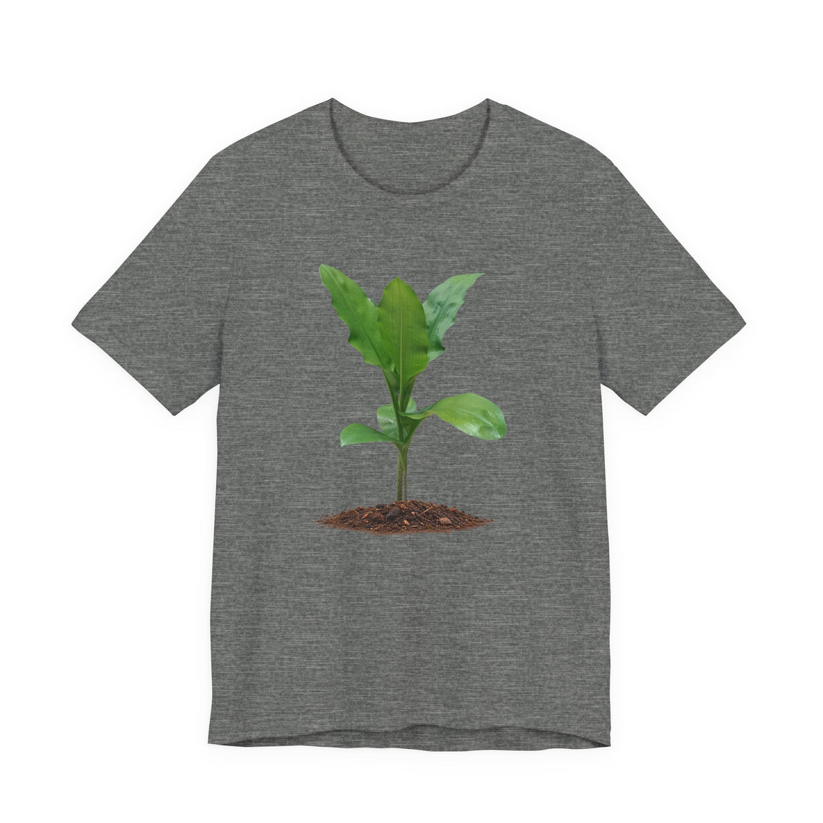 Blood Lily Botanical T-Shirt — Original Photography
