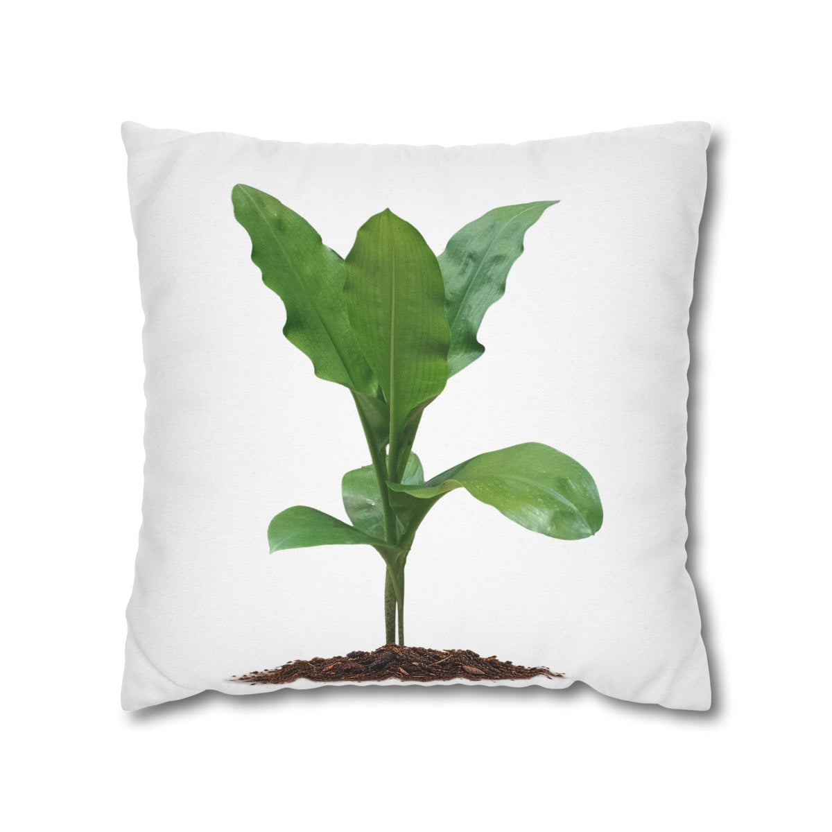 Blood Lily Botanical Pillow Cover — Original Photography