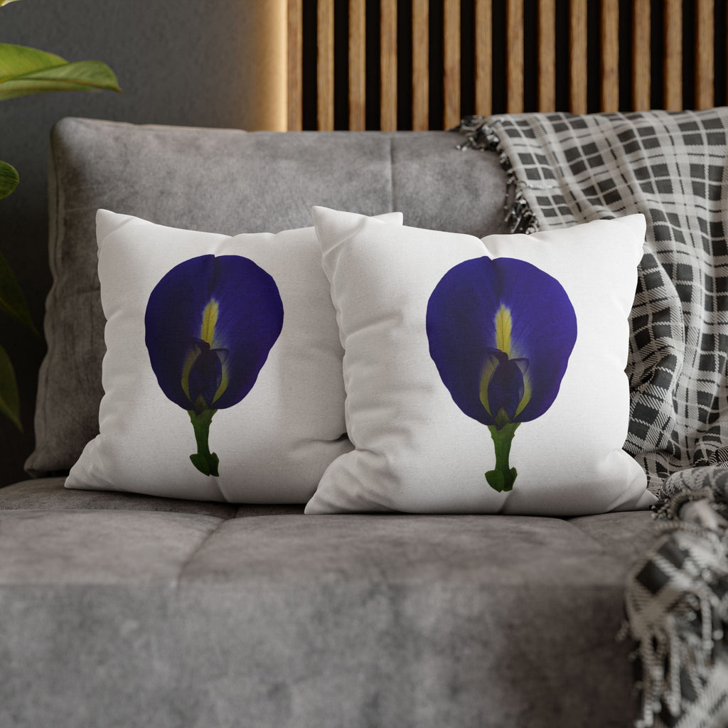 Original Butterfly Pea Flower Pillow Cover | Botanical Photography
